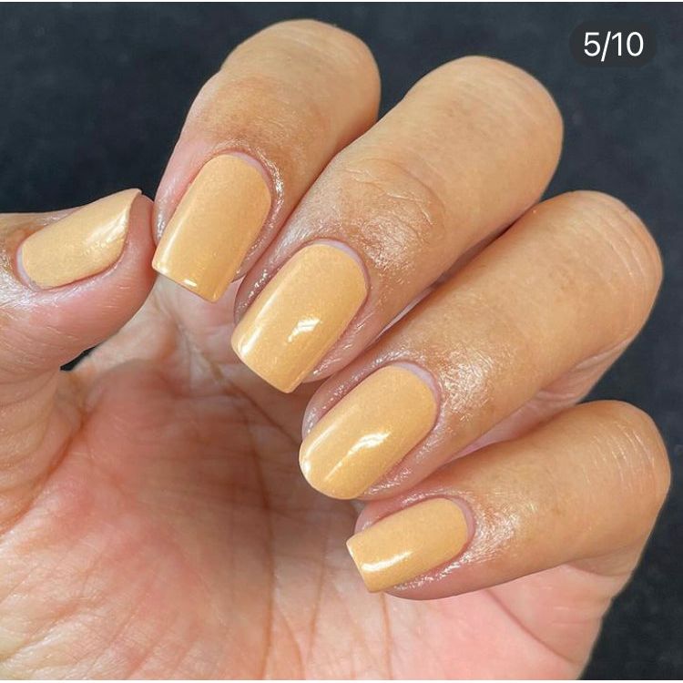 Creative (orange brown)
