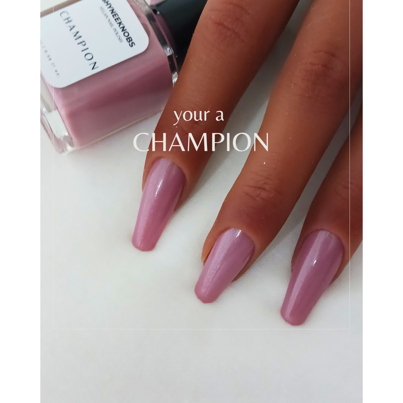 Champion (Turkish Rose)